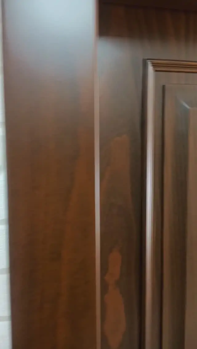 514897105 1270465178028962 3116701702931452298 n